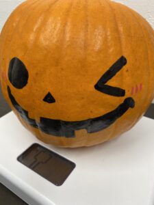 おばけかぼちゃの重さ発表！